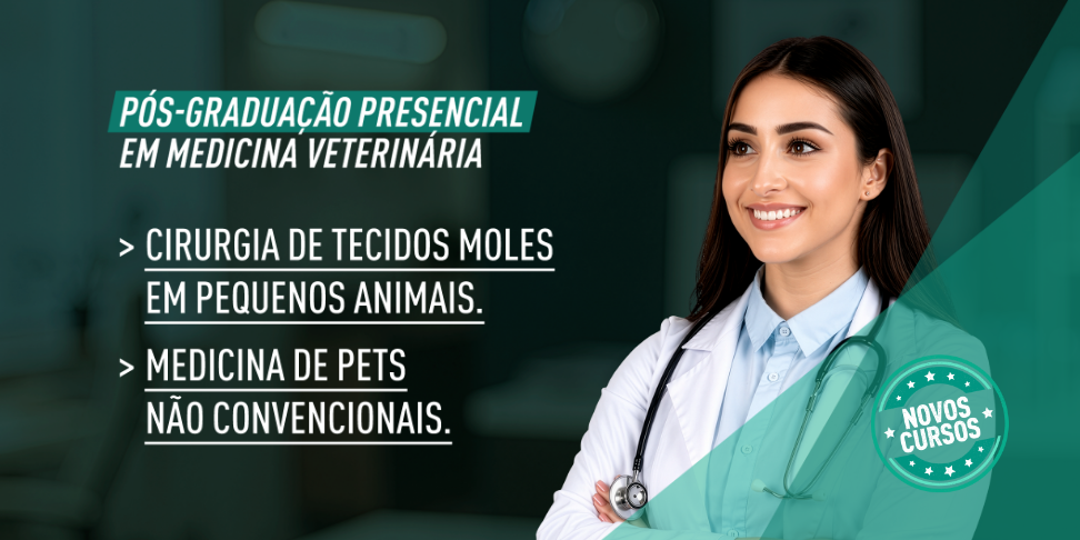 Imagem ilustrativa da campanha