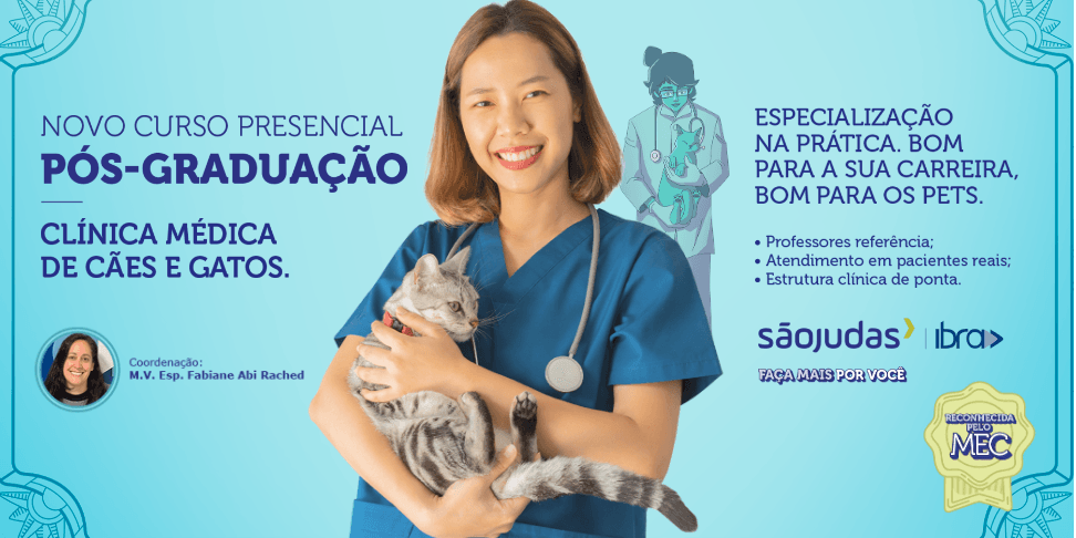 Imagem ilustrativa da campanha