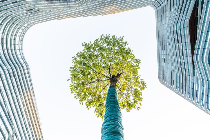 Curso de Bim Aplicado à Construção Sustentável e Esg