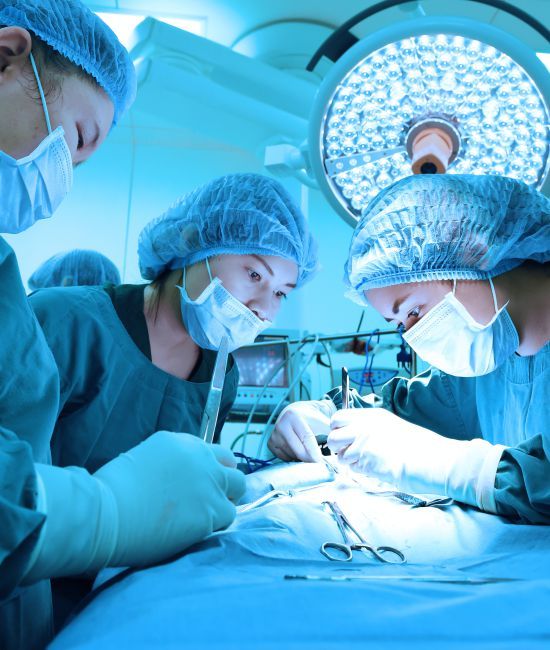 Curso de Cirurgia Veterinária de Pequenos Animais