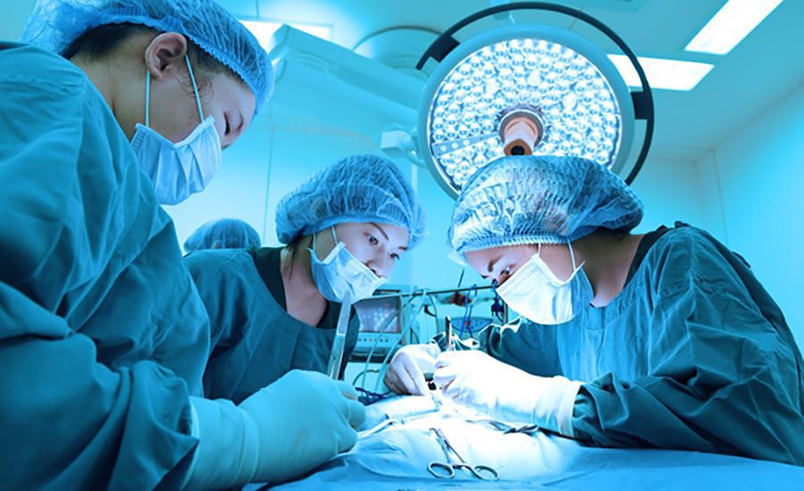 Curso de Cirurgia Veterinária de Pequenos Animais