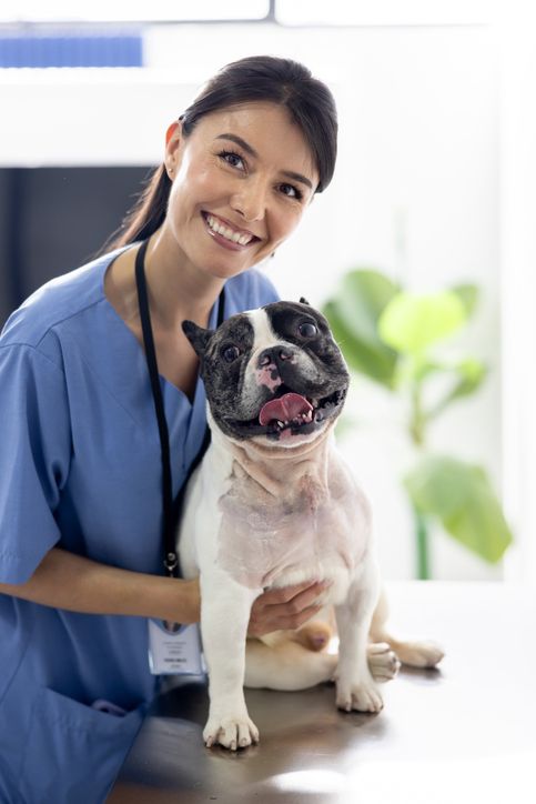Curso de Clínica Médica de Pequenos Animais