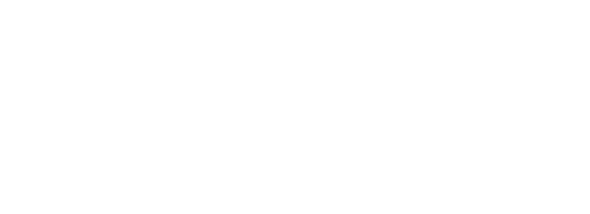 Logo Ibmr