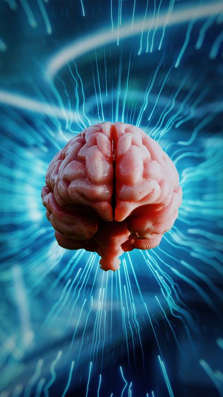 Curso de MBA em Neuromarketing e Experiência de Consumo