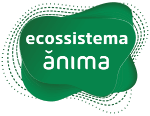 Ecossistema IBMR