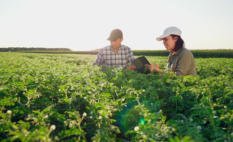 Curso de Agronegócios