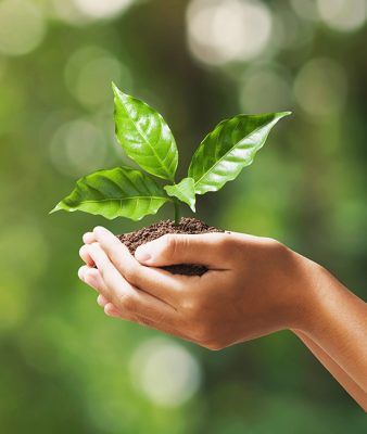 Curso de Avaliação de Impactos Ambientais