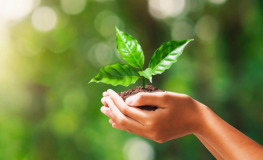 Curso de Avaliação de Impactos Ambientais