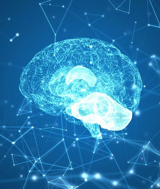Curso de Neurociência Aplicada à Educação