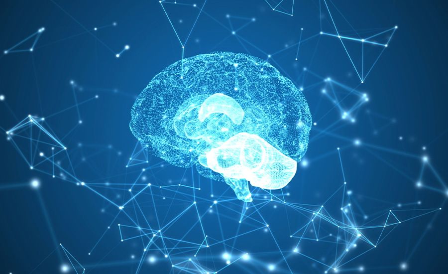 Curso de Neurociência Aplicada à Educação