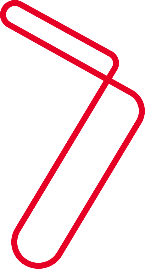 Grafismo ilustrativo